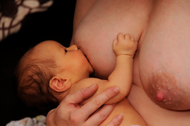 kojenec u krmení.jpg